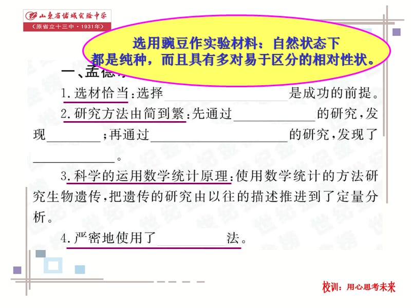 基因分离定律第一课时.ppt_第3页