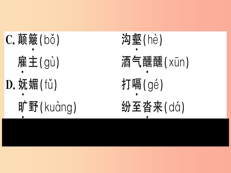 （河南专版）2019春八年级语文下册 第五单元 19 登勃朗峰习题课件 新人教版.ppt_第3页