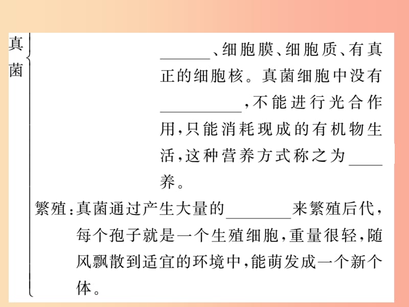 2019年八年级生物上册第五单元第四章第三节真菌习题课件 新人教版.ppt_第3页