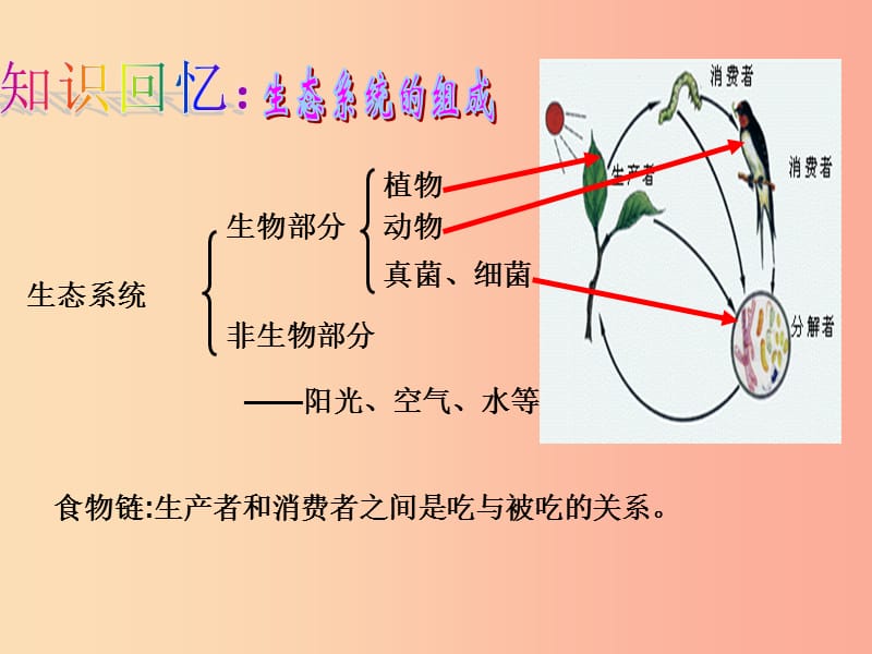 八年级生物上册 第五单元 第三章 动物在生物圈中的作用课件 新人教版.ppt_第3页