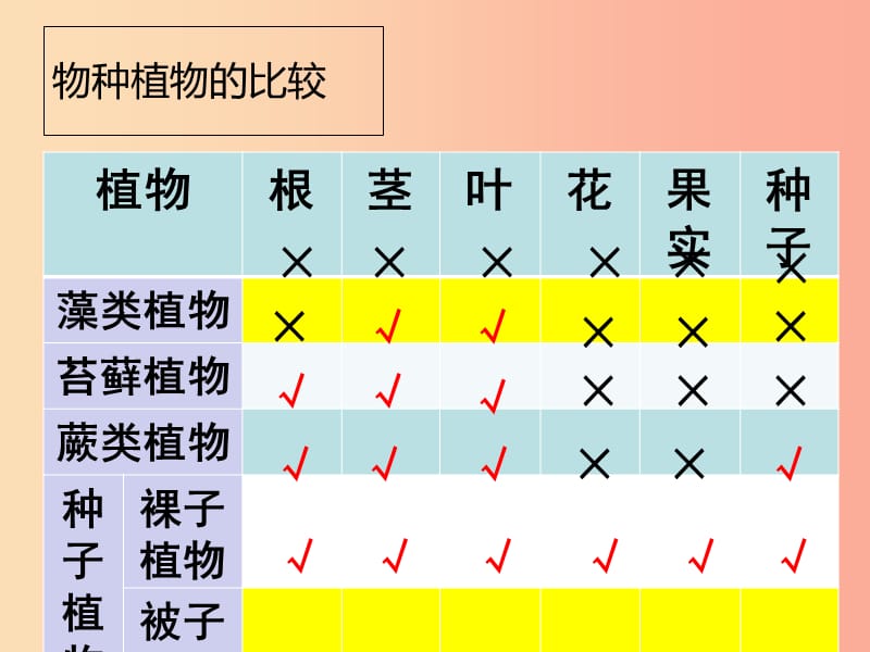 陕西省七年级生物上册 3.5.1-2章复习课件 新人教版.ppt_第3页