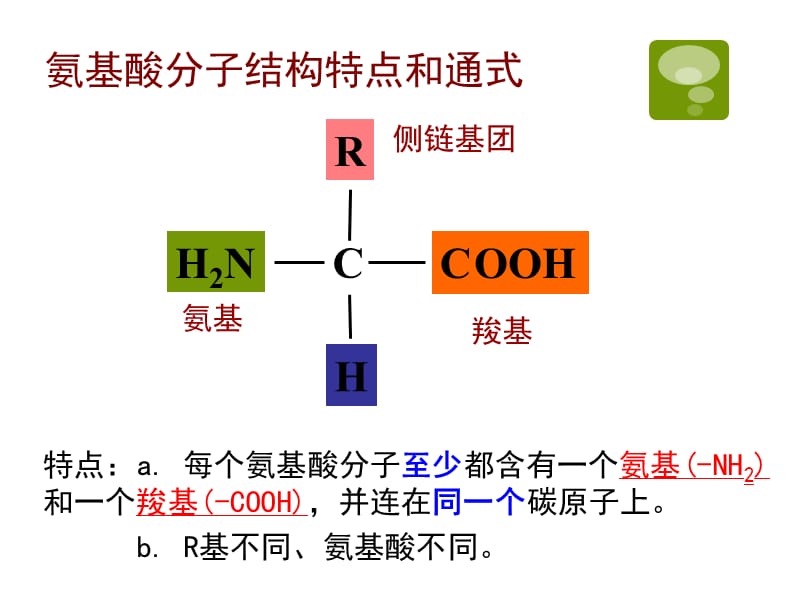 分子与细胞-高中学业水平测试.ppt_第3页