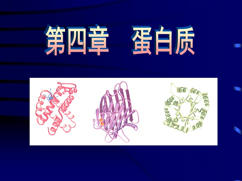 南京農(nóng)業(yè)大學生化.ppt_第1頁