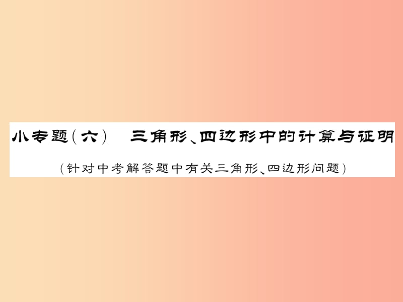 （课标版通用）2019中考数学总复习 第二轮 小专题集训 题型专攻 小专题（六）习题课件.ppt_第1页