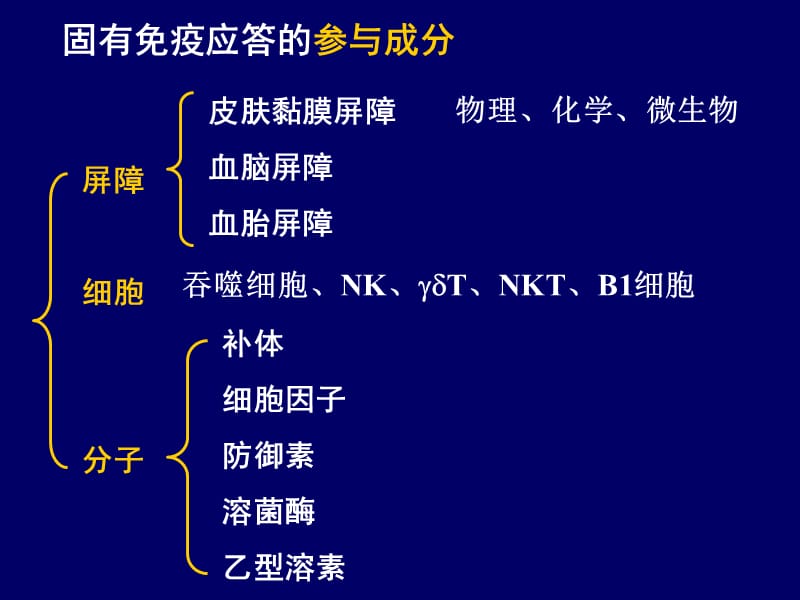 固有免疫系统及其应答.ppt_第2页