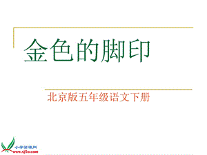 北京版語(yǔ)文五年級(jí)下冊(cè)《金色的腳印》PPT課件之二.ppt