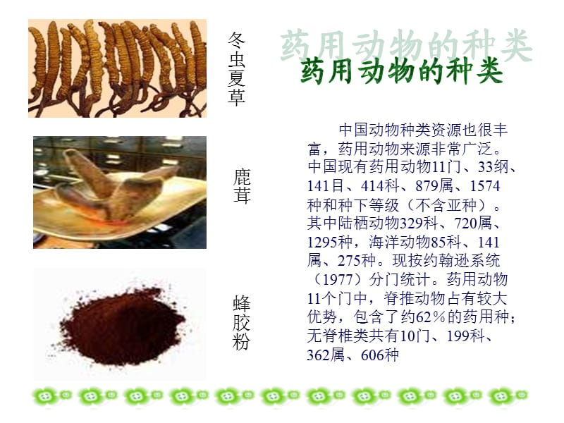 动物的药用价值(何钰婷等).ppt_第3页