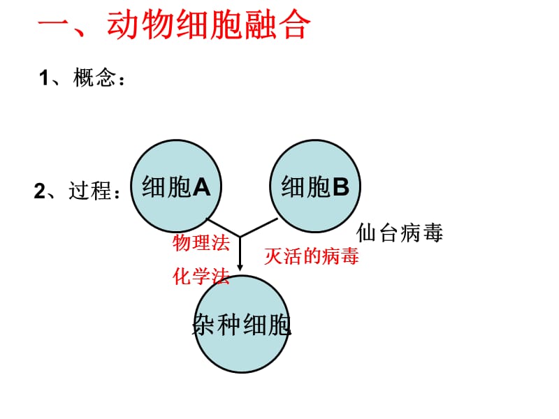 单克隆抗体的制备.ppt_第3页