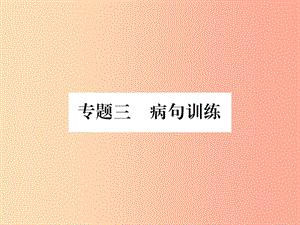 （畢節(jié)專版）2019年八年級語文上冊 專題3 病句訓(xùn)練習(xí)題課件 新人教版.ppt