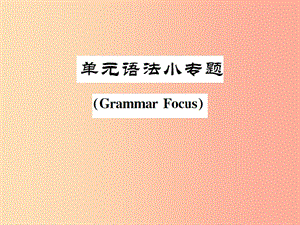 （安徽專版）2019年秋九年級英語全冊 Unit 13 We’re trying to save the earth語法小專題新人教 新目標版.ppt