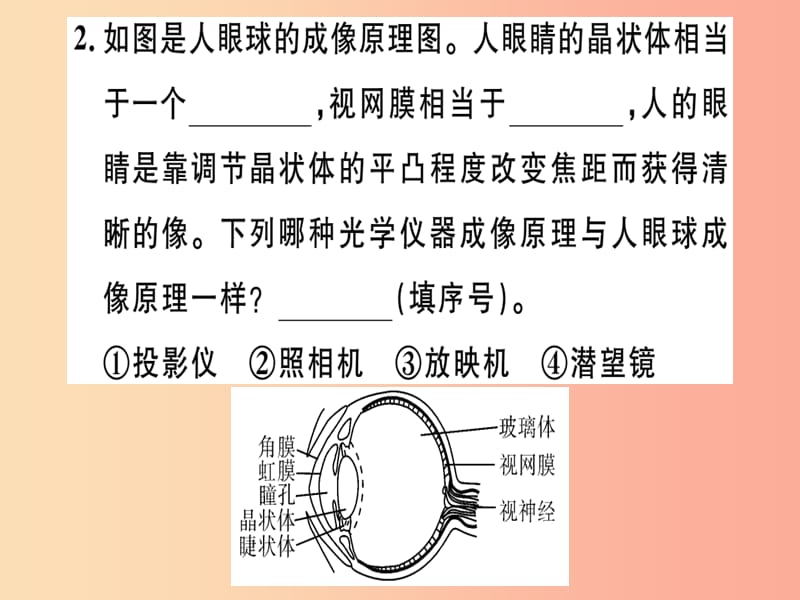 江西专版2019年八年级物理上册第五章第4节眼睛和眼镜习题课件 新人教版.ppt_第2页