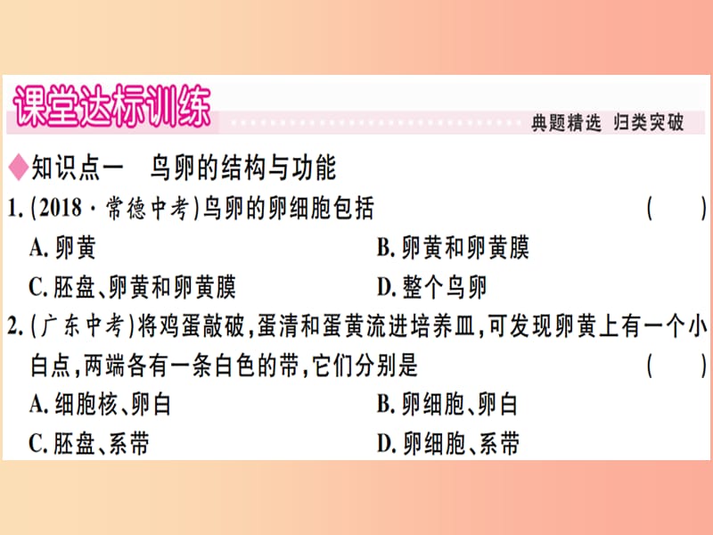 2019春八年级生物下册 第七单元 第一章 第四节 鸟的生殖和发育习题课件 新人教版.ppt_第3页