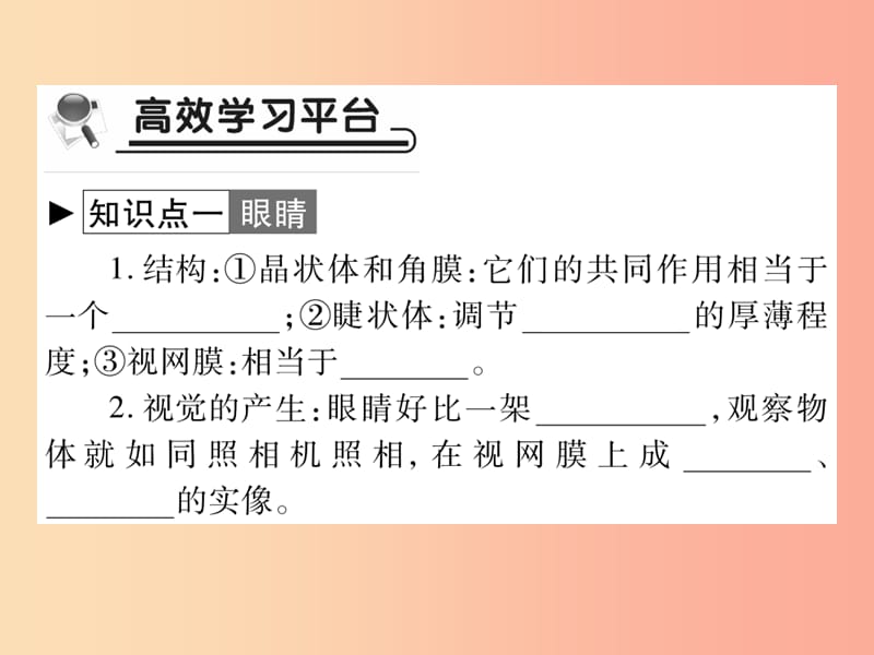 2019秋八年级物理上册第四章第6节神奇的眼睛习题课件新版教科版.ppt_第2页