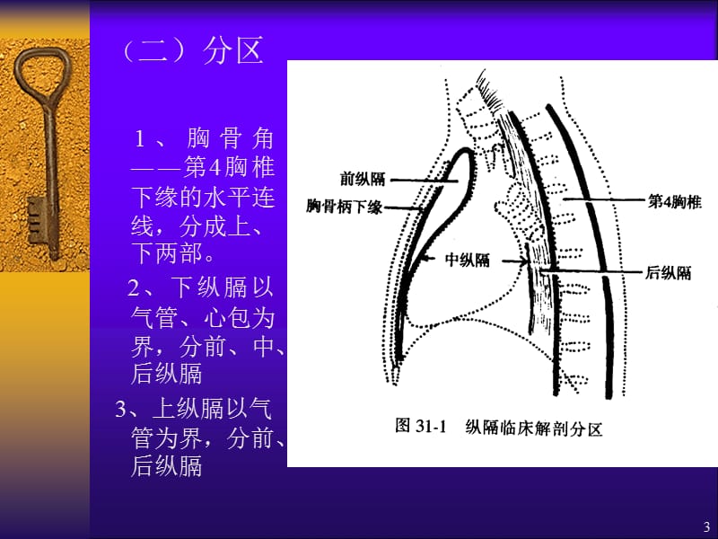 原发性纵隔肿瘤ppt课件_第3页