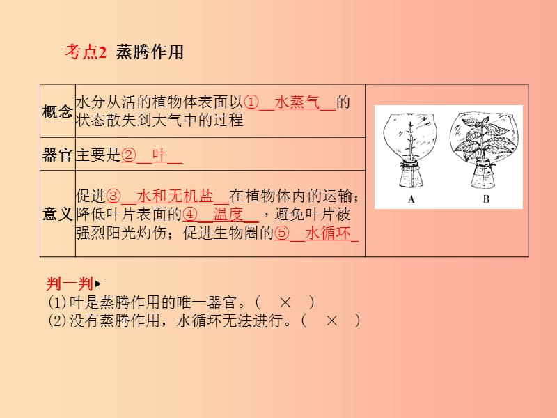 （聊城专版）2019年中考生物 第一部分 系统复习 成绩基石 第三单元 第3章 绿色植物与生物圈的水循环 课件.ppt_第3页