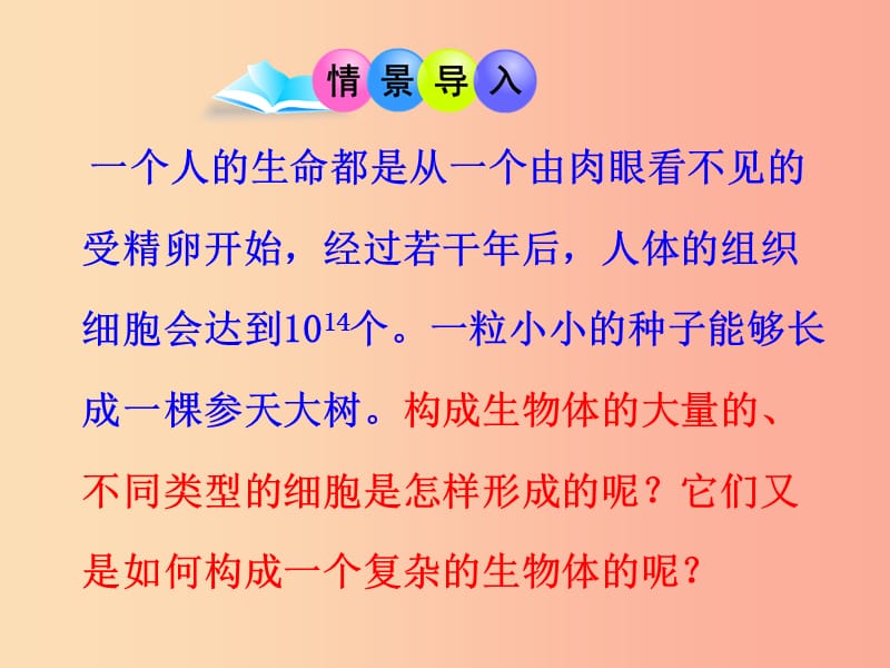 陕西省七年级生物上册 2.2.1细胞通过分裂产生新细胞课件 新人教版.ppt_第2页