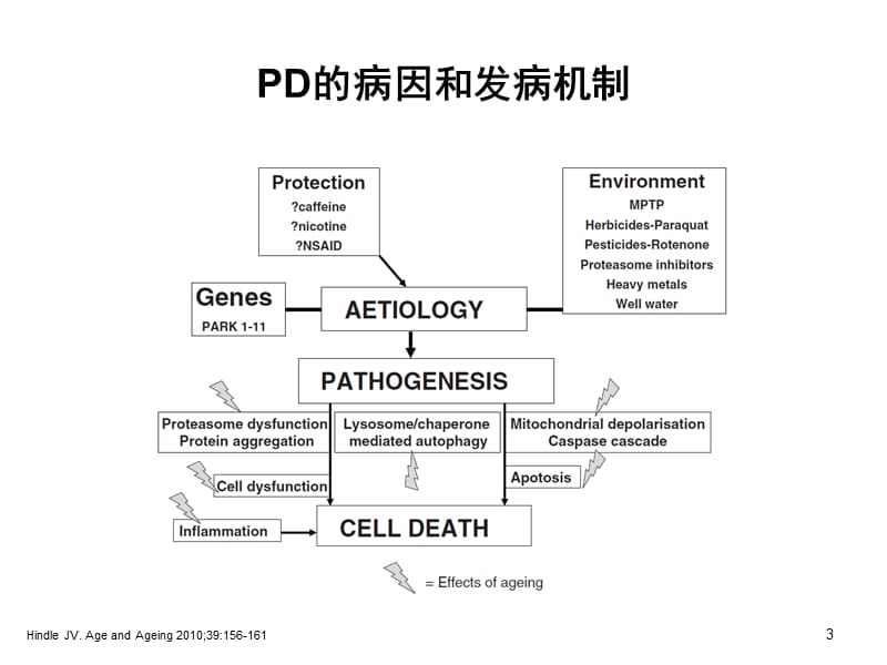 从发病机制谈PD神经保护策略.ppt_第3页