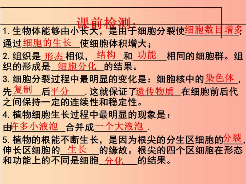 江苏省七年级生物下册 9.1植物体的结构层次课件（新版）苏科版.ppt_第1页