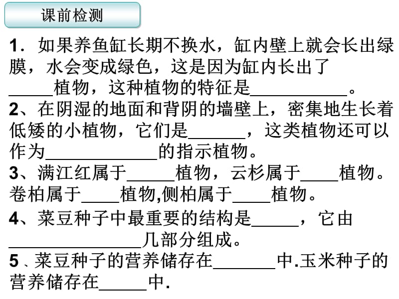 初中生物种子的萌发和植株的生长.ppt_第1页