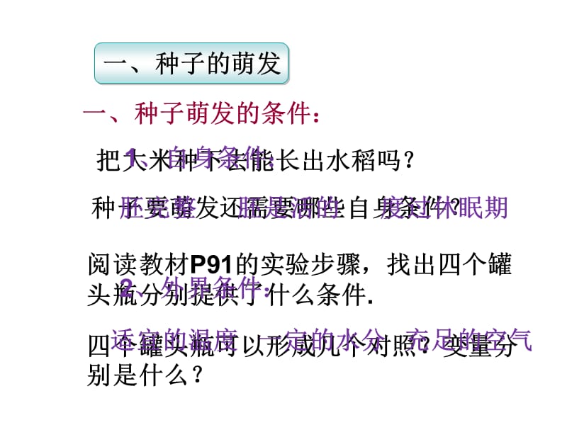 初中生物种子的萌发和植株的生长.ppt_第3页