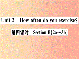 （廣東專版）八年級英語上冊 Unit 2 How often do you rcise（第4課時）新人教 新目標版.ppt