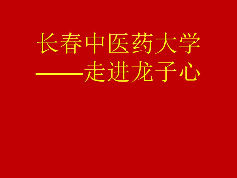 做一个梦想的实干家.ppt_第1页