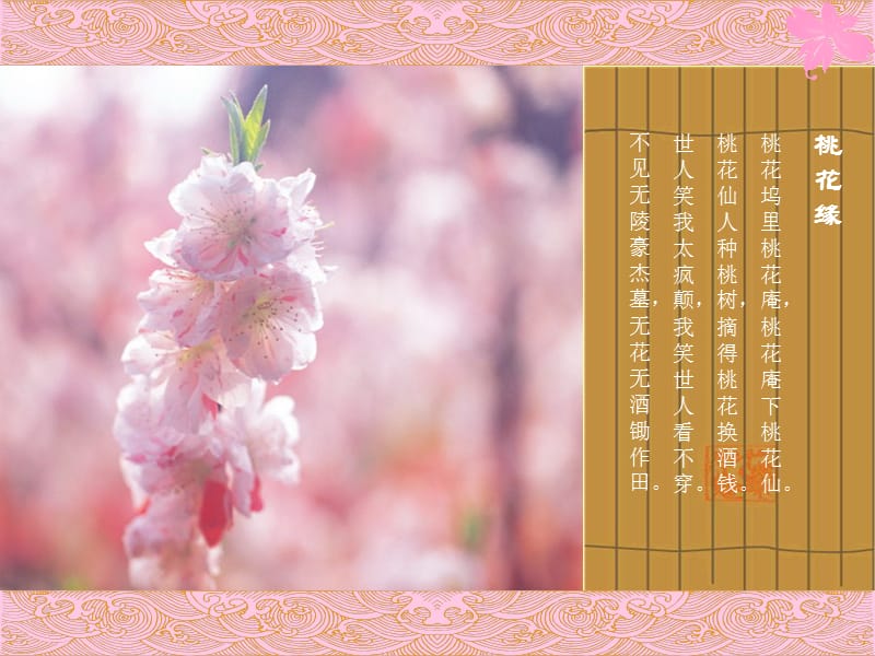 唯美模版(桃花缘).ppt_第2页