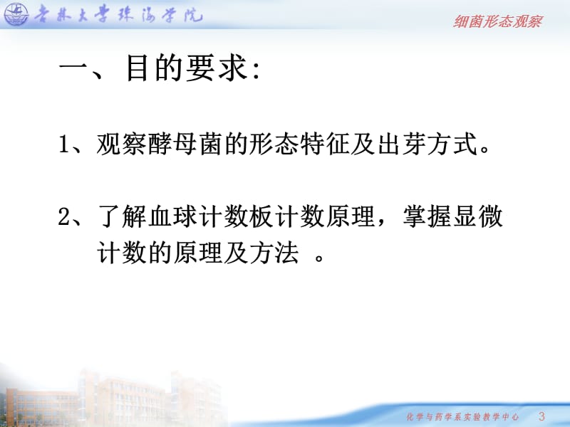 实验四：酵母菌形态观察及计数.ppt_第3页