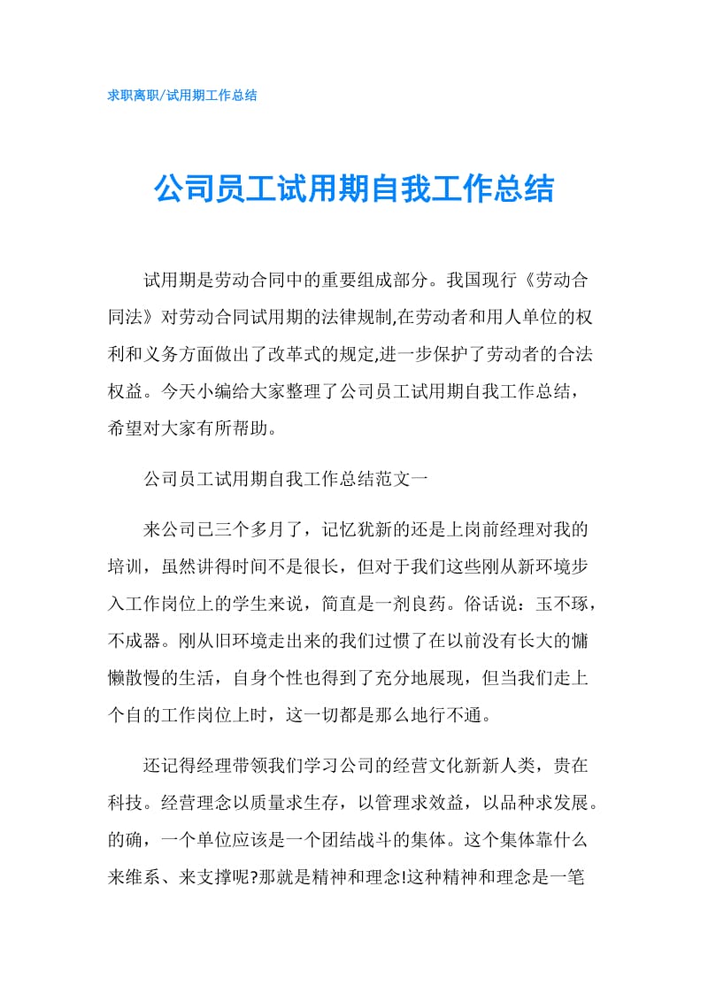 公司员工试用期自我工作总结.doc_第1页