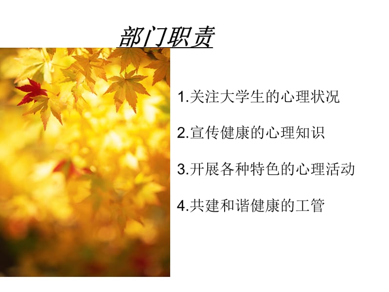 团学联会议之心理咨询部门介绍.ppt_第3页