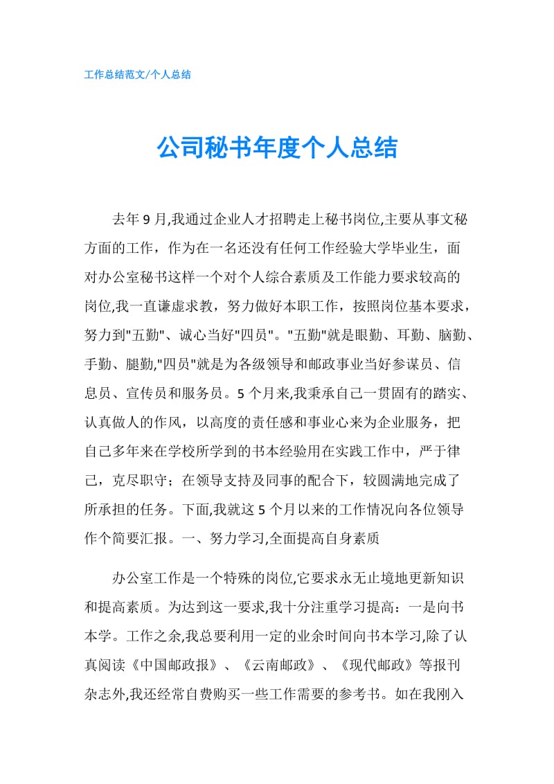 公司秘书年度个人总结.doc_第1页