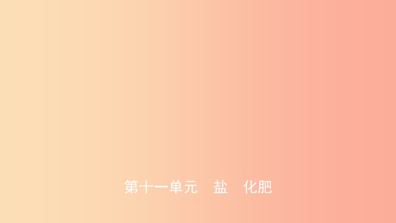 山东诗营市2019年初中化学学业水平考试总复习第十一单元盐化肥课件.ppt_第1页