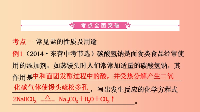 山东诗营市2019年初中化学学业水平考试总复习第十一单元盐化肥课件.ppt_第2页