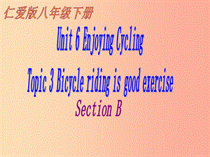 八年级英语下册 Unit 6 Enjoying Cycling Topic 3 bicycle riding is good rcise Section B1 仁爱版.ppt