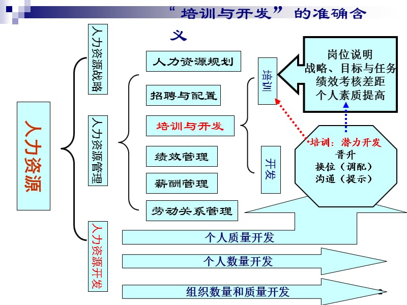 人力资源考试第三章培训与开发.ppt_第2页