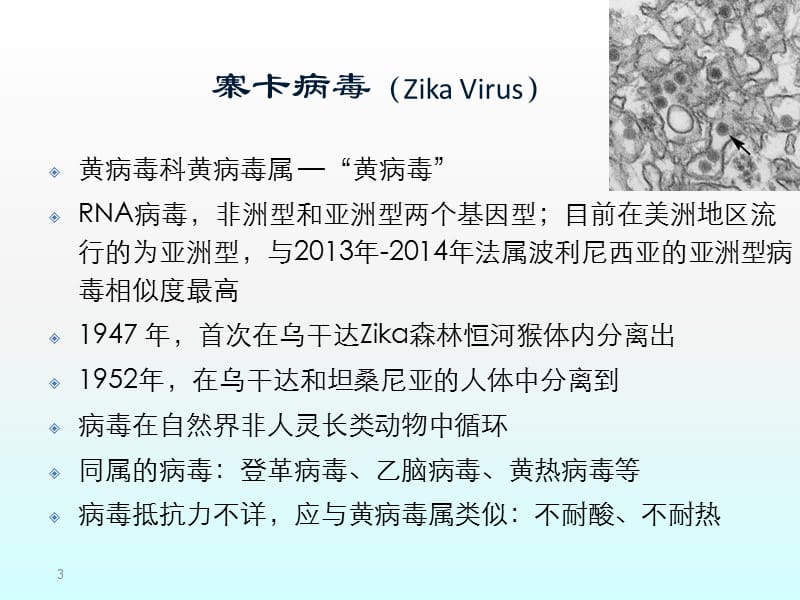 寨卡病毒病的流行和防控要求ppt课件_第3页