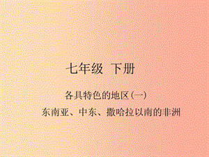 四川省綿陽市2019年春中考地理 七下 各具特色的地區(qū)（東南亞 中東 撒哈拉以南的非洲）復(fù)習(xí)課件 新人教版.ppt