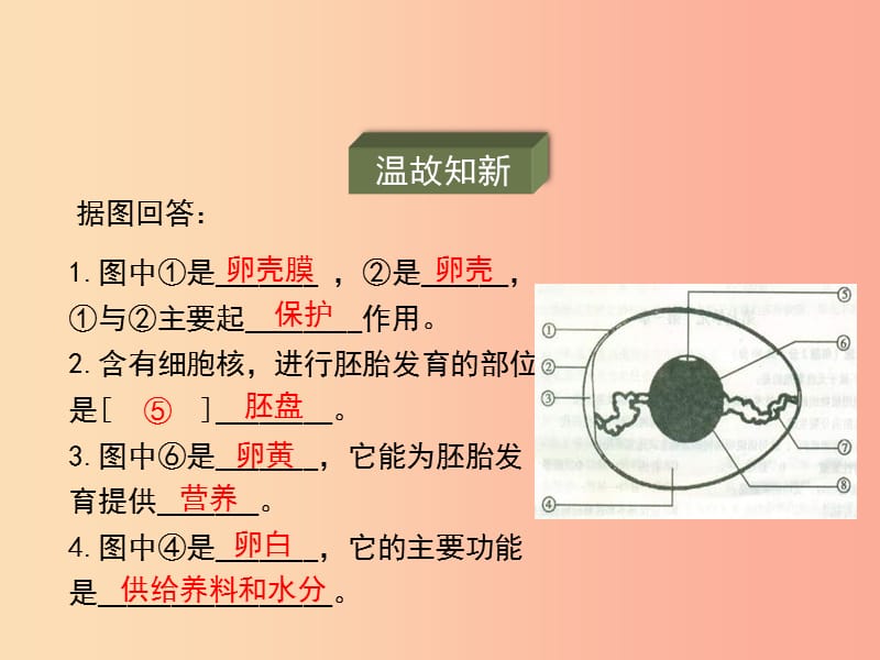 八年级生物上册 7.20.2《动物的发育》第1课时课件 （新版）苏科版.ppt_第2页