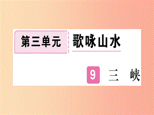 （河南專用）八年級語文上冊 第三單元 9 三峽習題課件 新人教版.ppt