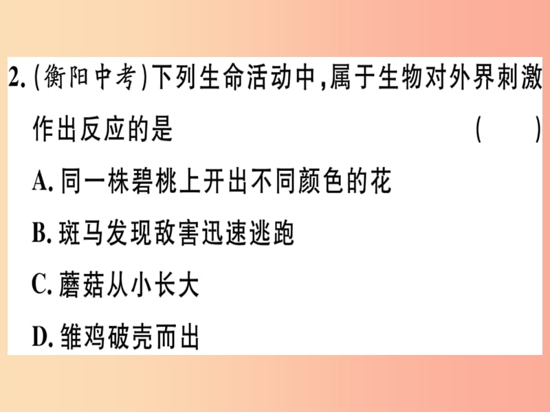 2019春八年级生物下册 专题复习二 生物与生物圈习题课件（新版）北师大版.ppt_第2页