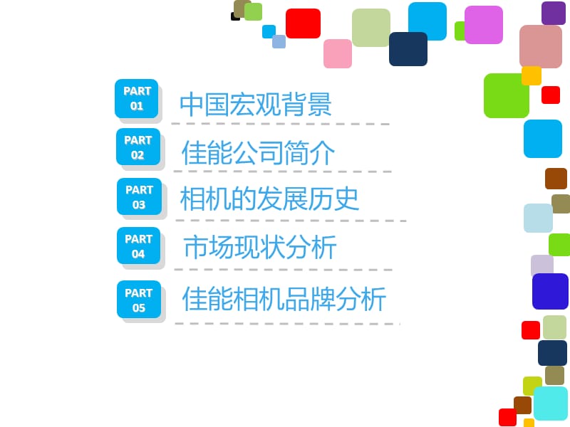 佳能相机市场调研报告.ppt_第2页