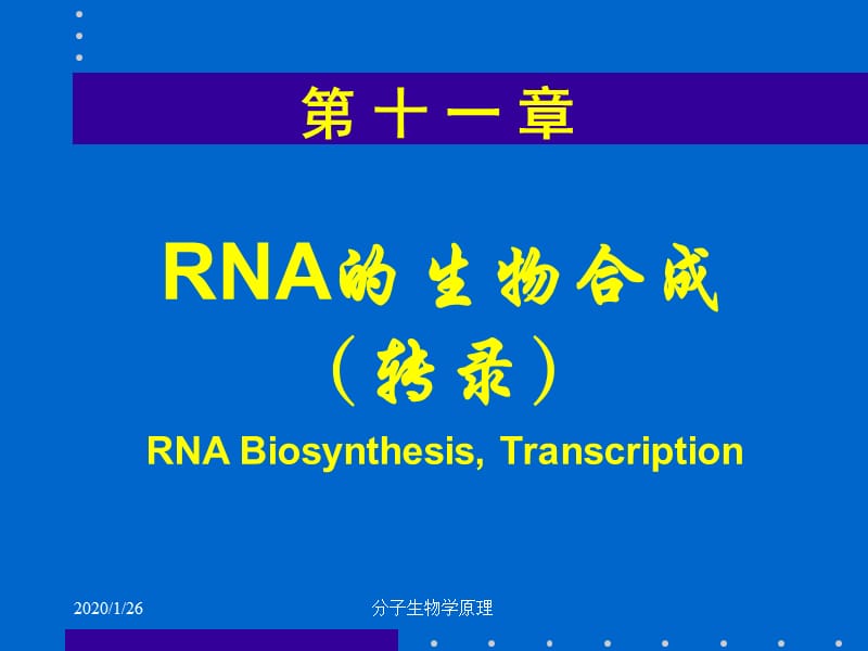 分子生物学原理-RNA的生物合成.ppt_第1页