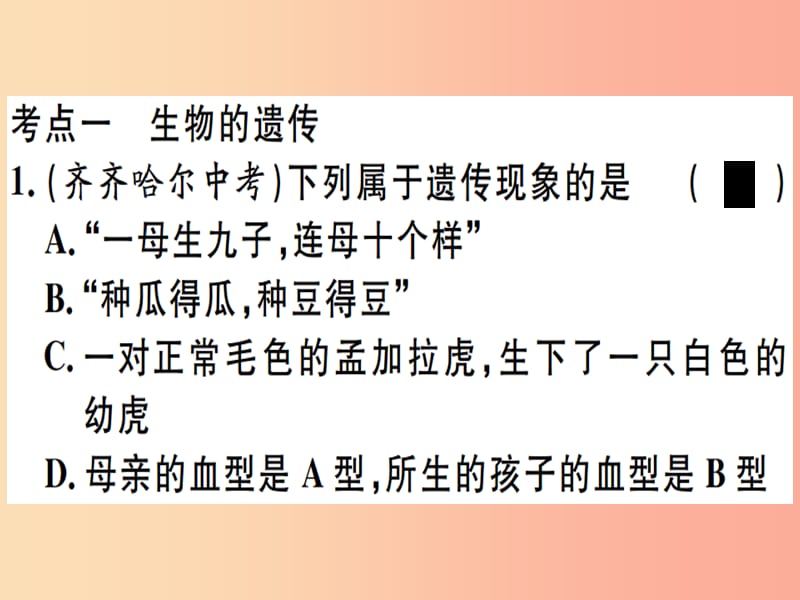 2019春八年级生物下册 专题十 生物的遗传与变异习题课件 新人教版.ppt_第1页