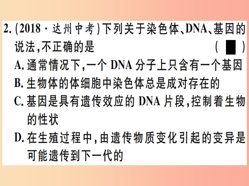 2019春八年级生物下册 专题十 生物的遗传与变异习题课件 新人教版.ppt_第2页