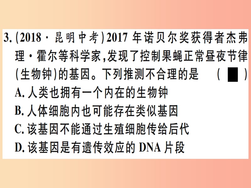 2019春八年级生物下册 专题十 生物的遗传与变异习题课件 新人教版.ppt_第3页