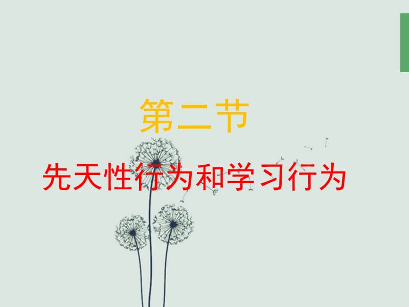 和第三节《社会行为》.ppt_第1页