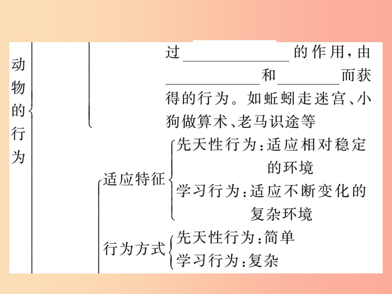 2019年八年级生物上册 第五单元 第二章 第二节 先天性行为和学习行为习题课件 新人教版.ppt_第3页