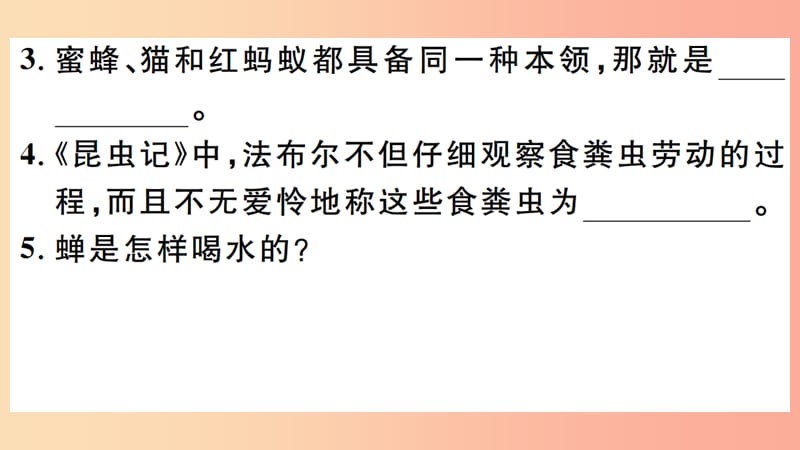 （江西专版）八年级语文上册 第五单元 名著导读习题课件 新人教版.ppt_第3页