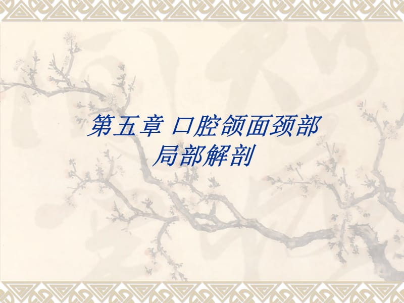 口腔颌面颈部局部解剖.ppt_第1页