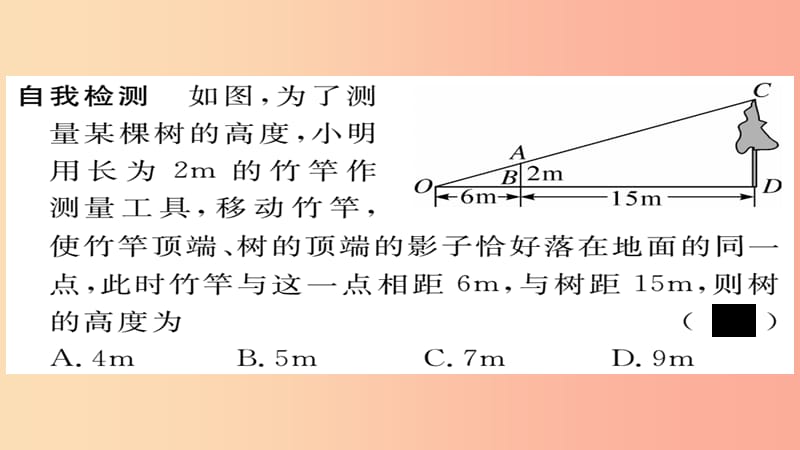 2019秋九年级数学上册 第24章 解直角三角形 24.1 测量习题课件（新版）华东师大版.ppt_第3页